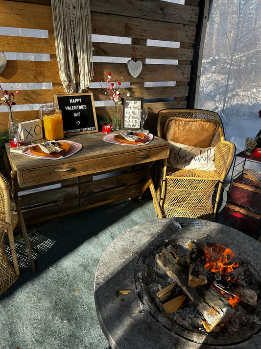 Romantic Christmas Picnic