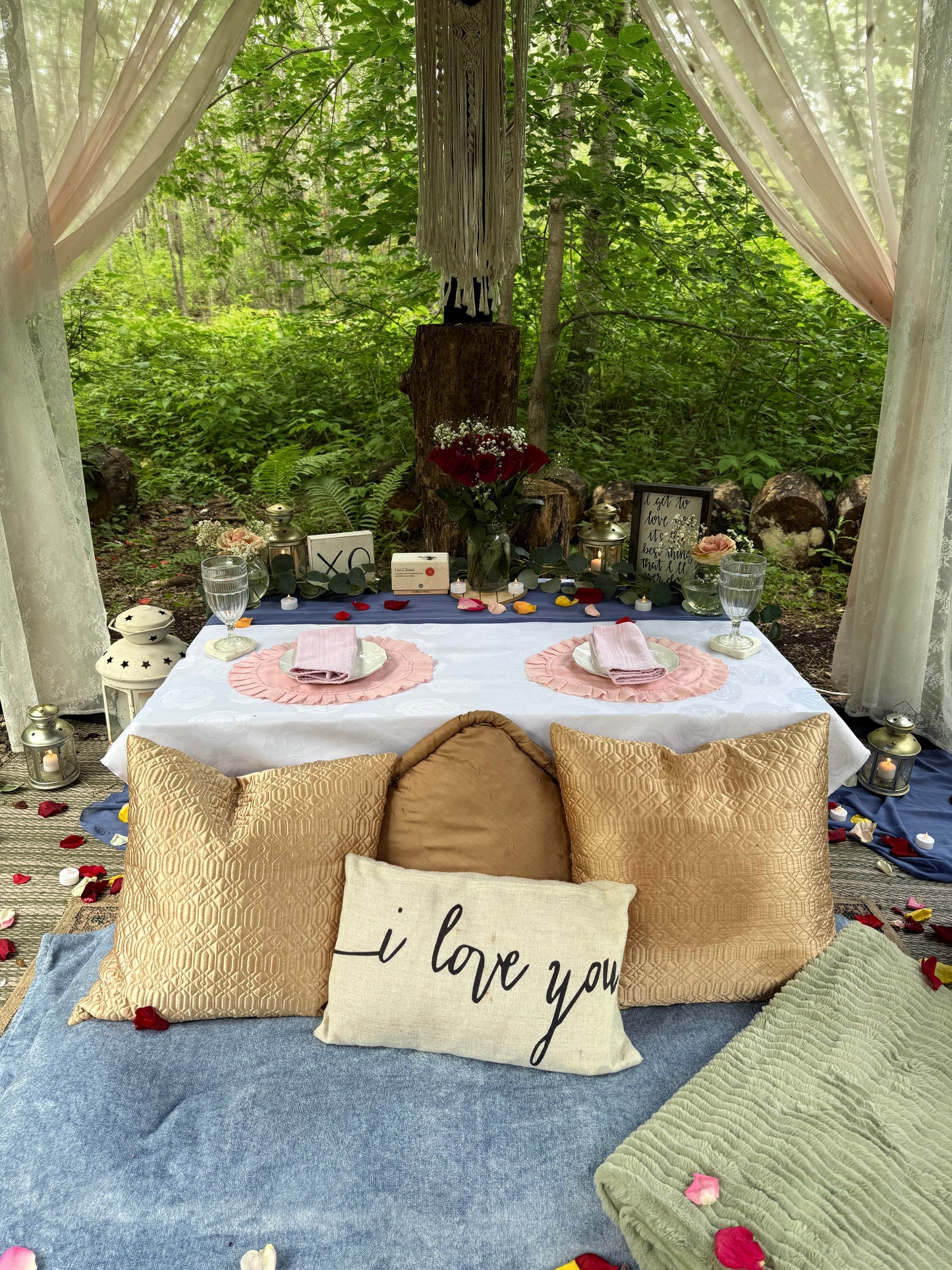 Romantic Picnic For Two