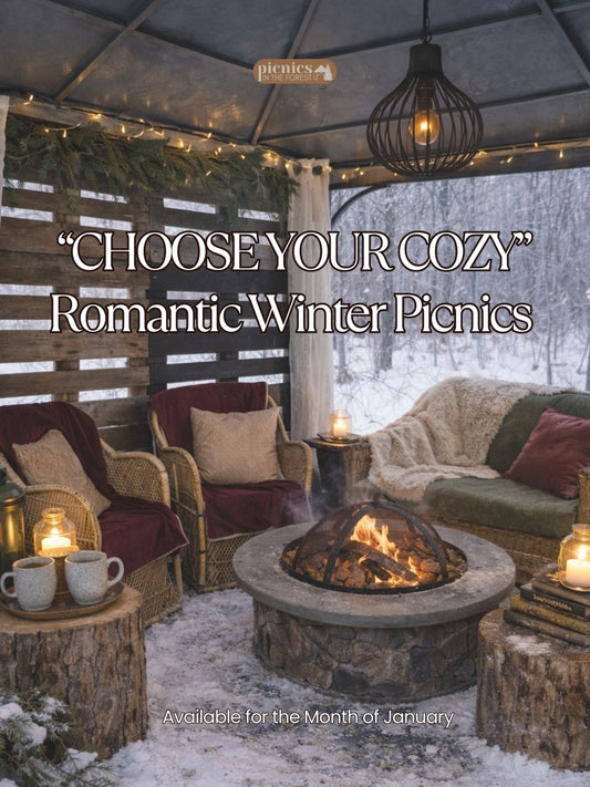 The Cozy Romantic Winter Picnic for 2