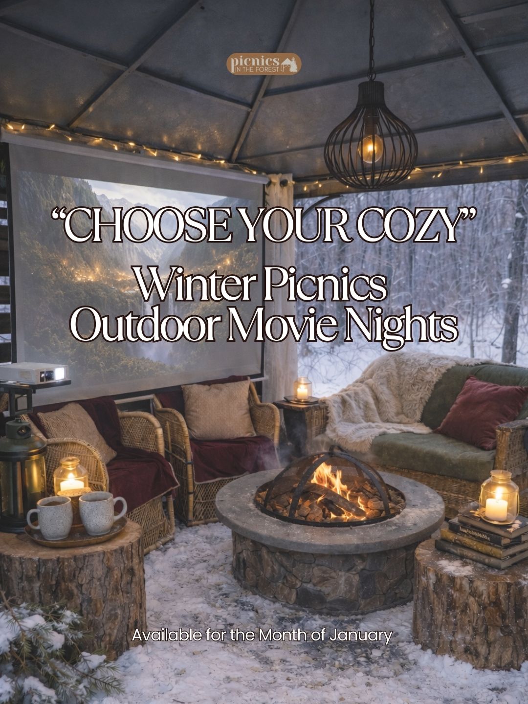 The Cozy Winter ROMANTIC MOVIE NIGHT Picnic for 2