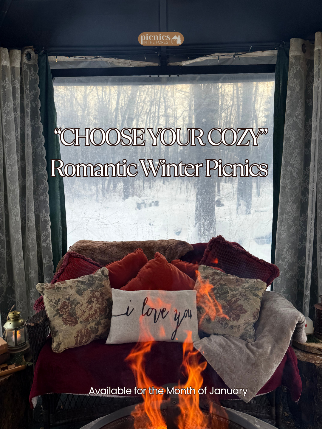 The Cozy Romantic Winter Picnic for 2