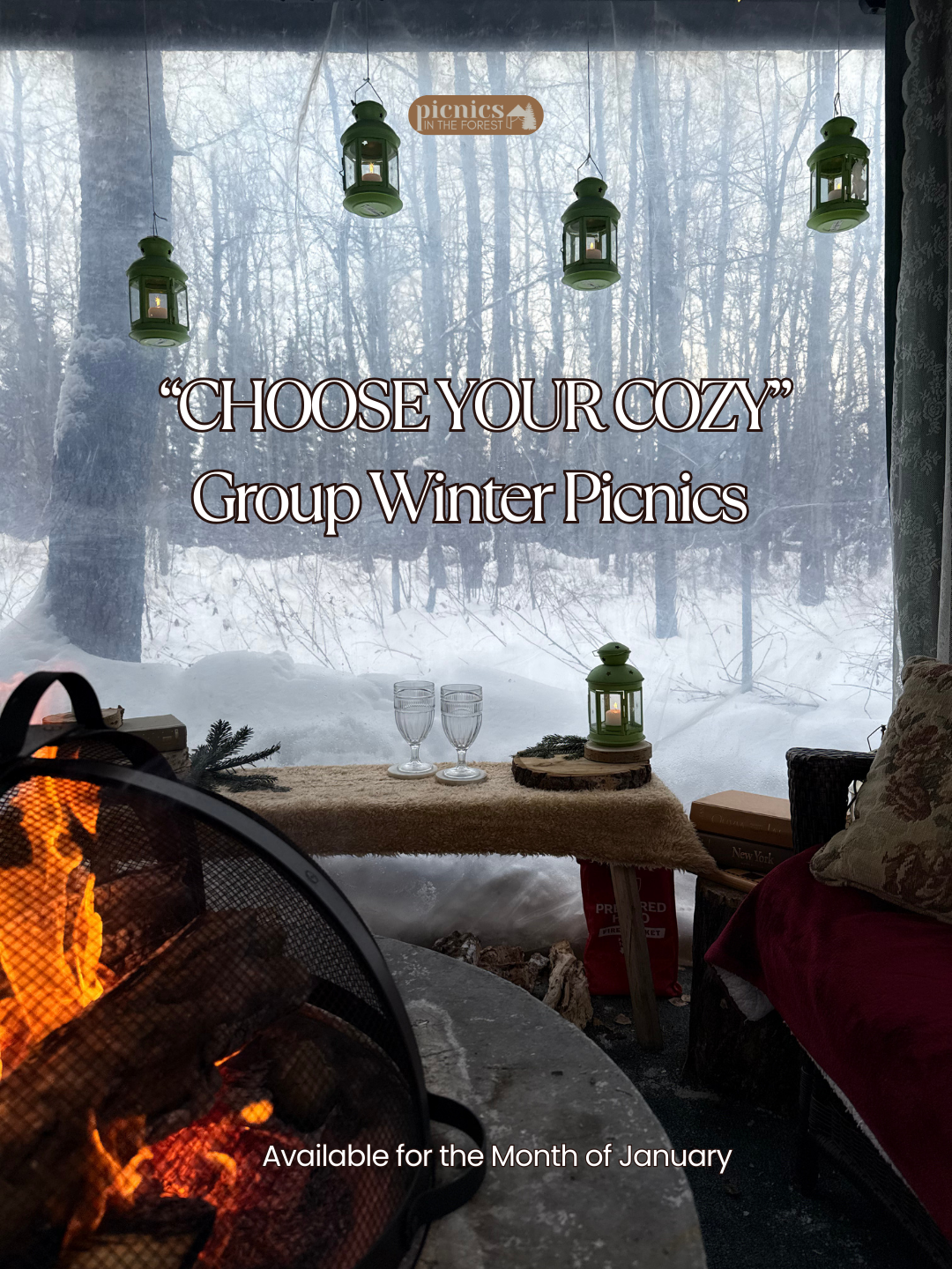 The Cozy Winter Group Picnic