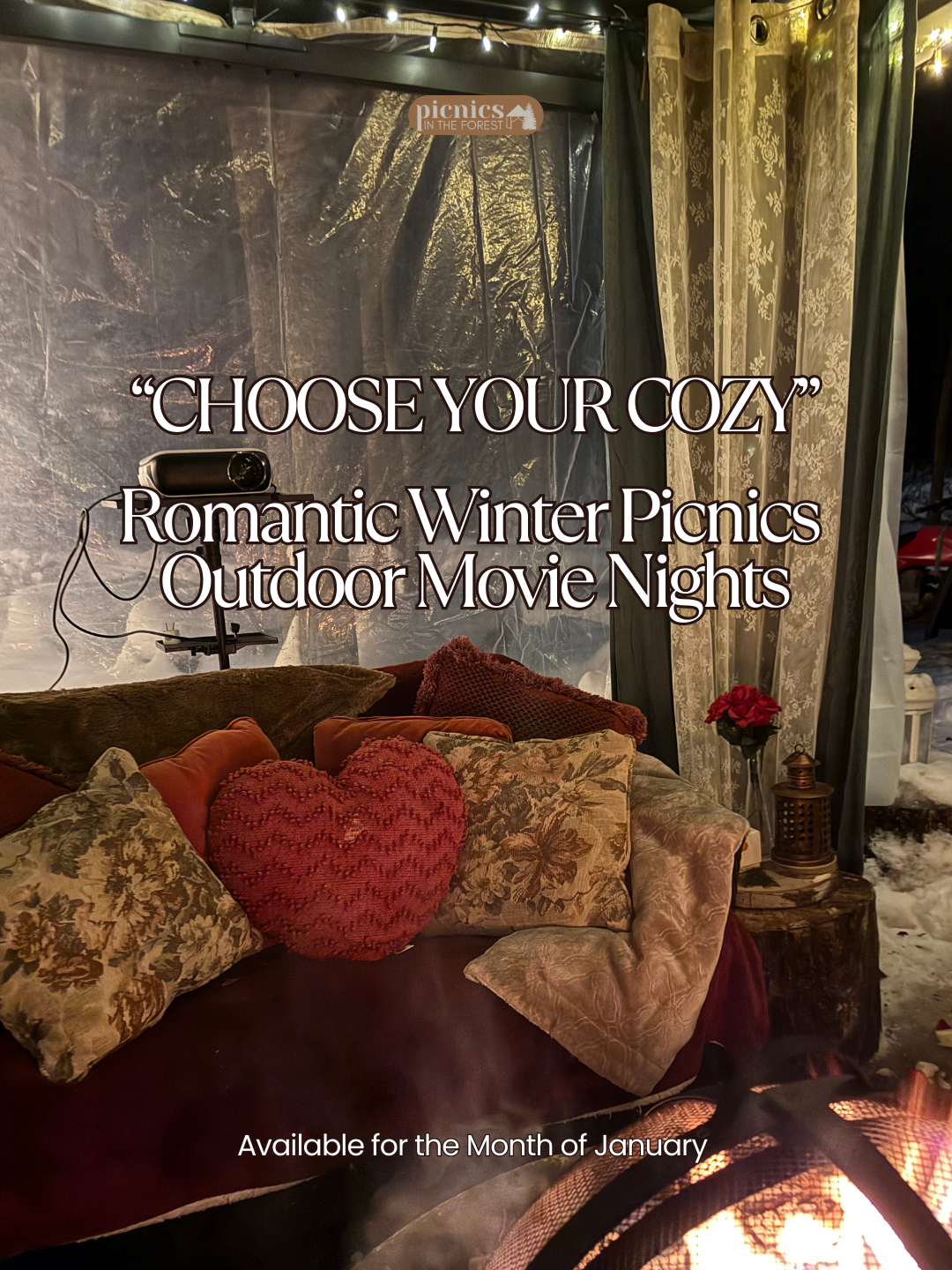 The Cozy Winter ROMANTIC MOVIE NIGHT Picnic for 2
