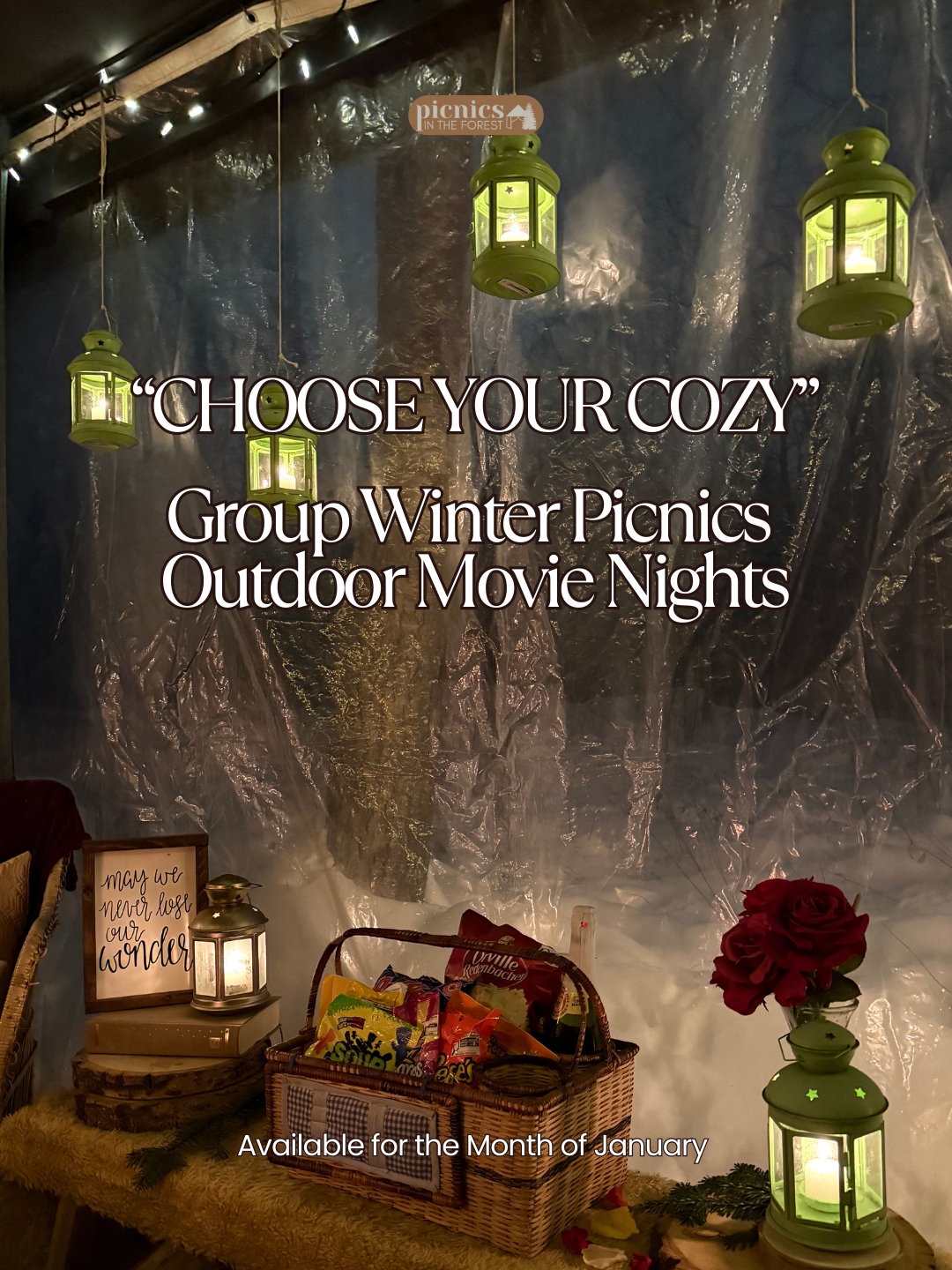 The Cozy Winter GROUP MOVIE NIGHT Picnic