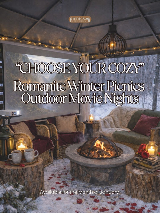 The Cozy Winter ROMANTIC MOVIE NIGHT Picnic for 2