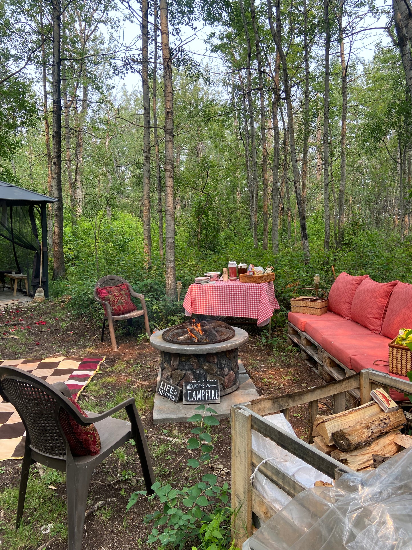 Hot Diggity Dog Picnic + Campfire