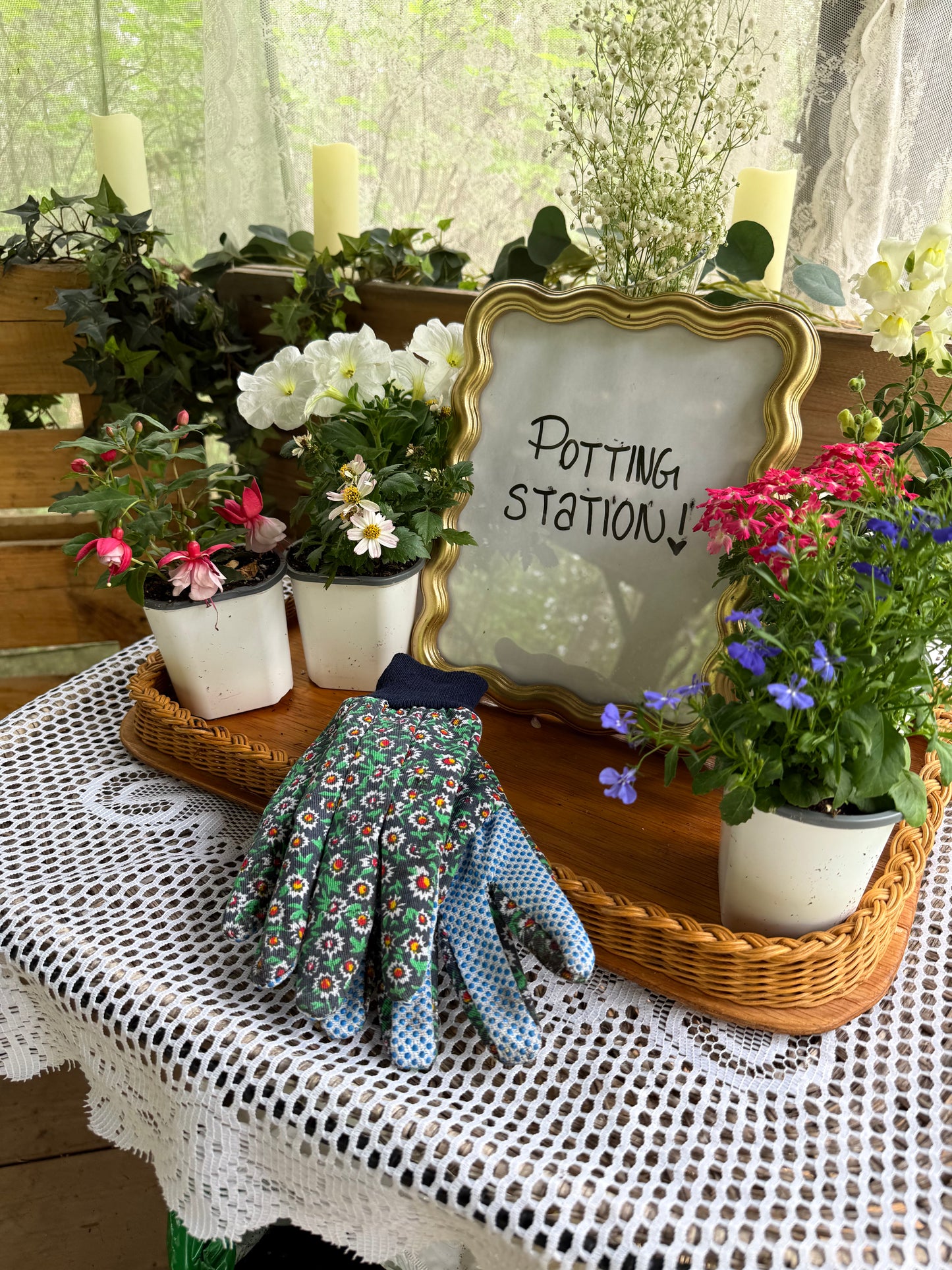 Paint and Plant Picnic