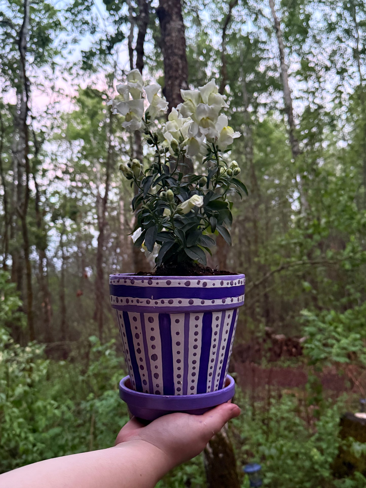 Paint and Plant Picnic