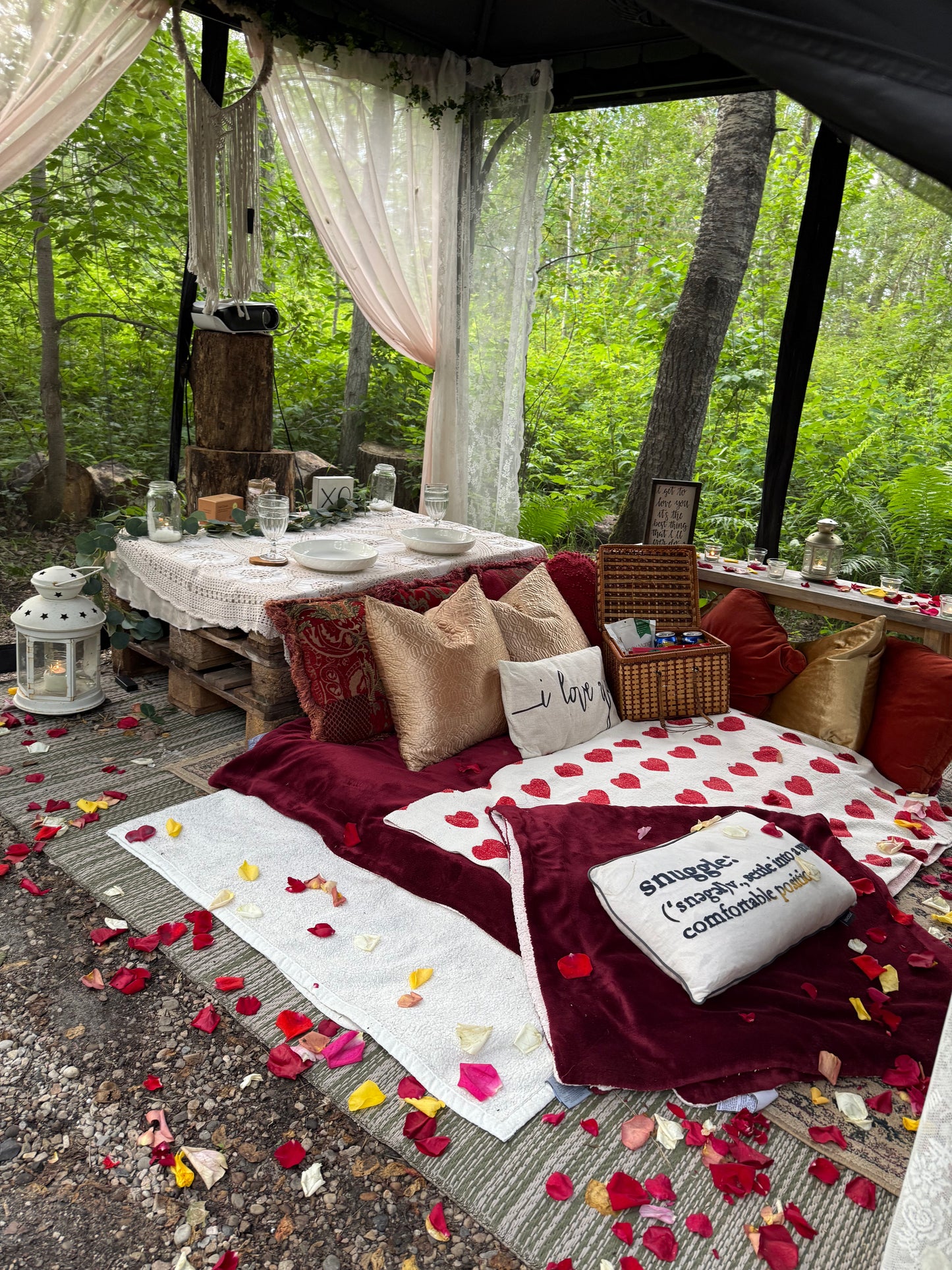 Romantic Picnic For Two