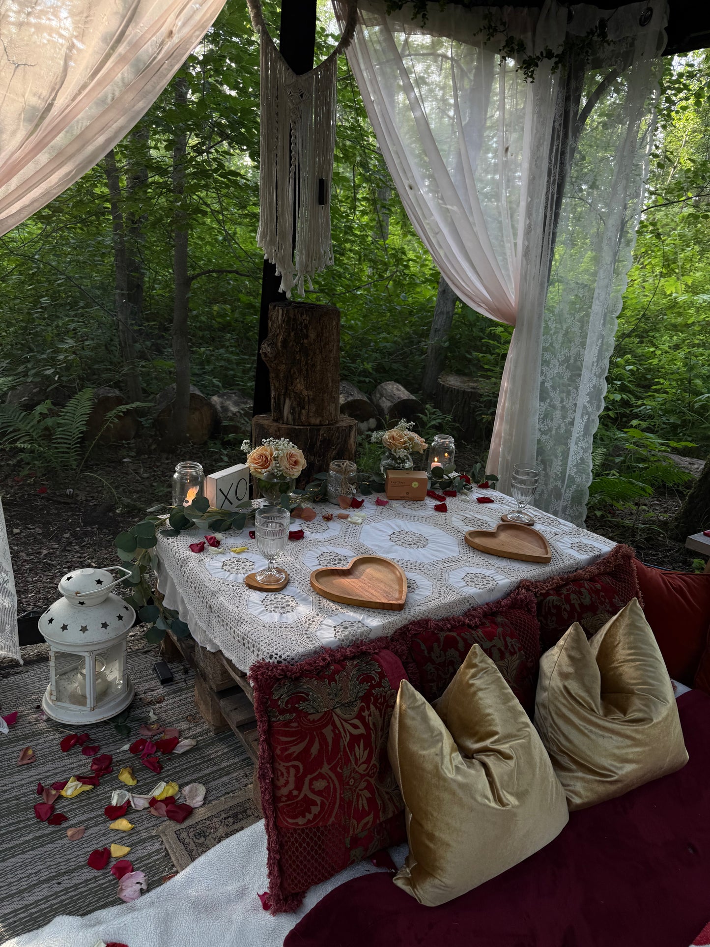 Romantic Picnic For Two