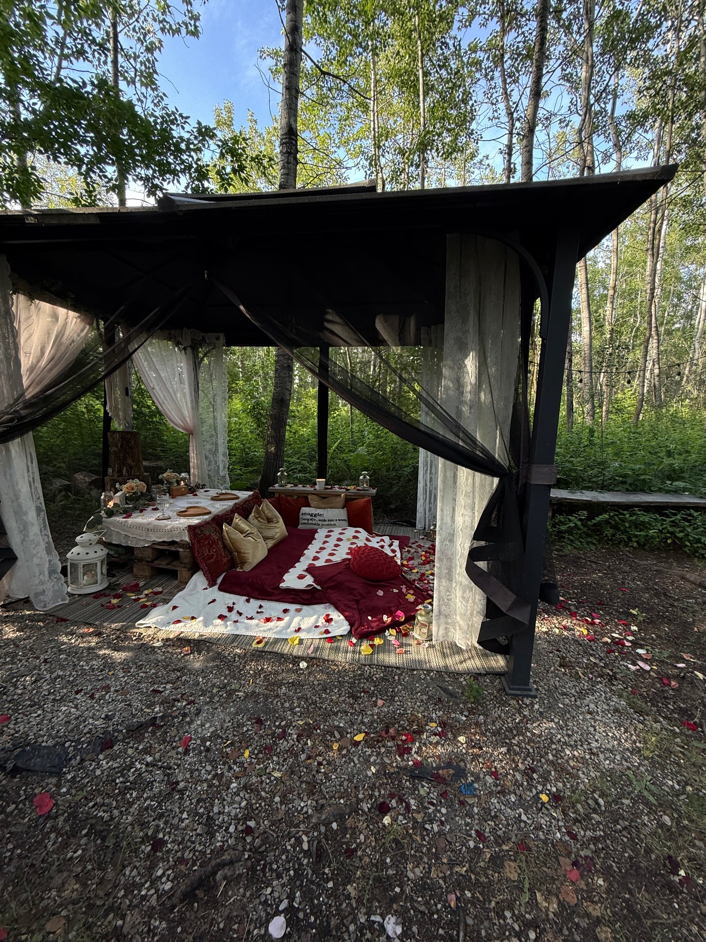 Romantic Picnic For Two