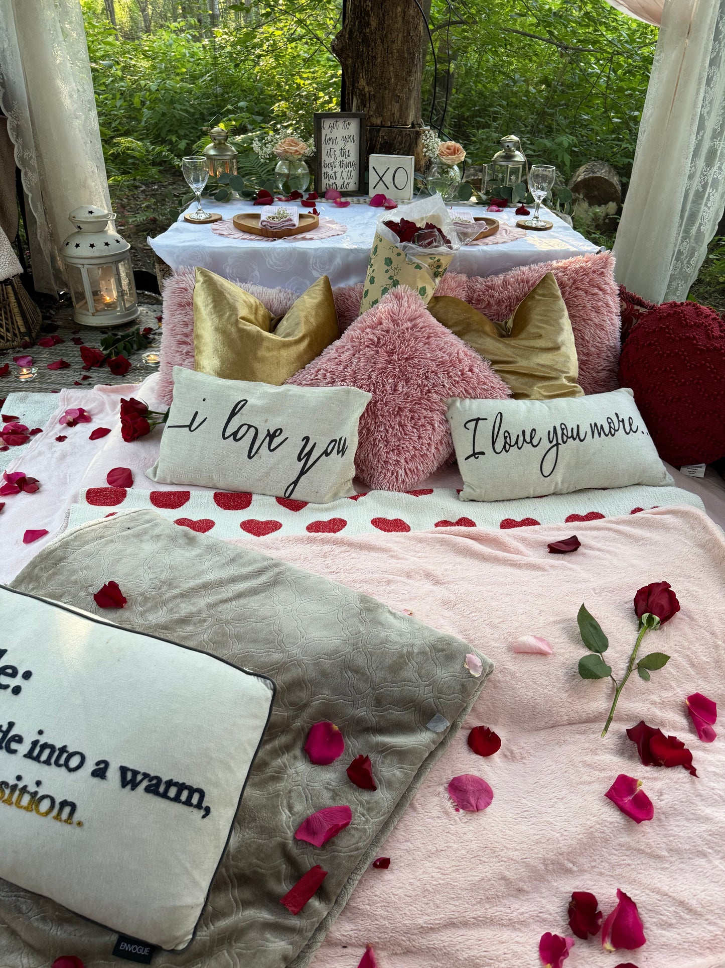 Romantic Picnic For Two