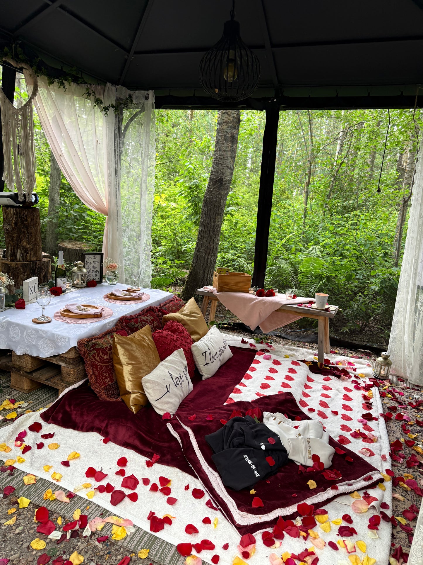 Romantic Picnic For Two