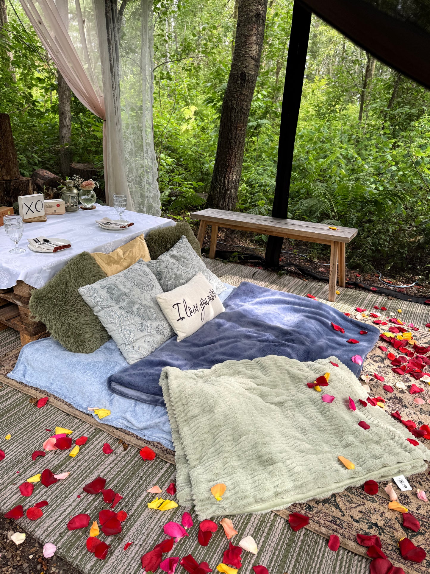 Romantic Picnic For Two