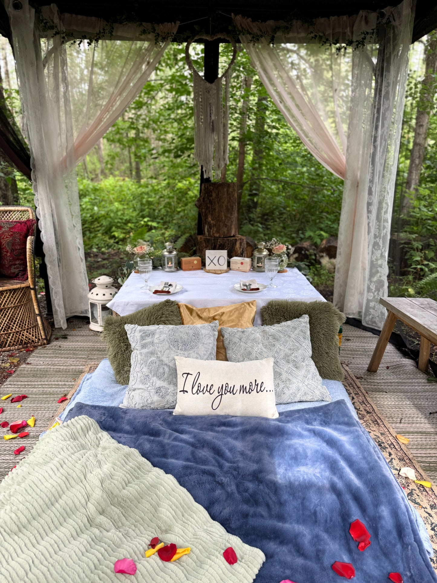 Romantic Picnic For Two