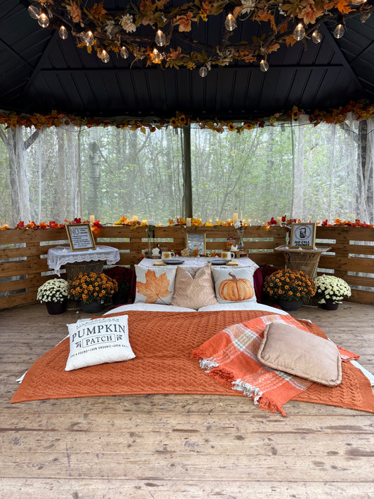 Gilmore Girls Fall Picnic
