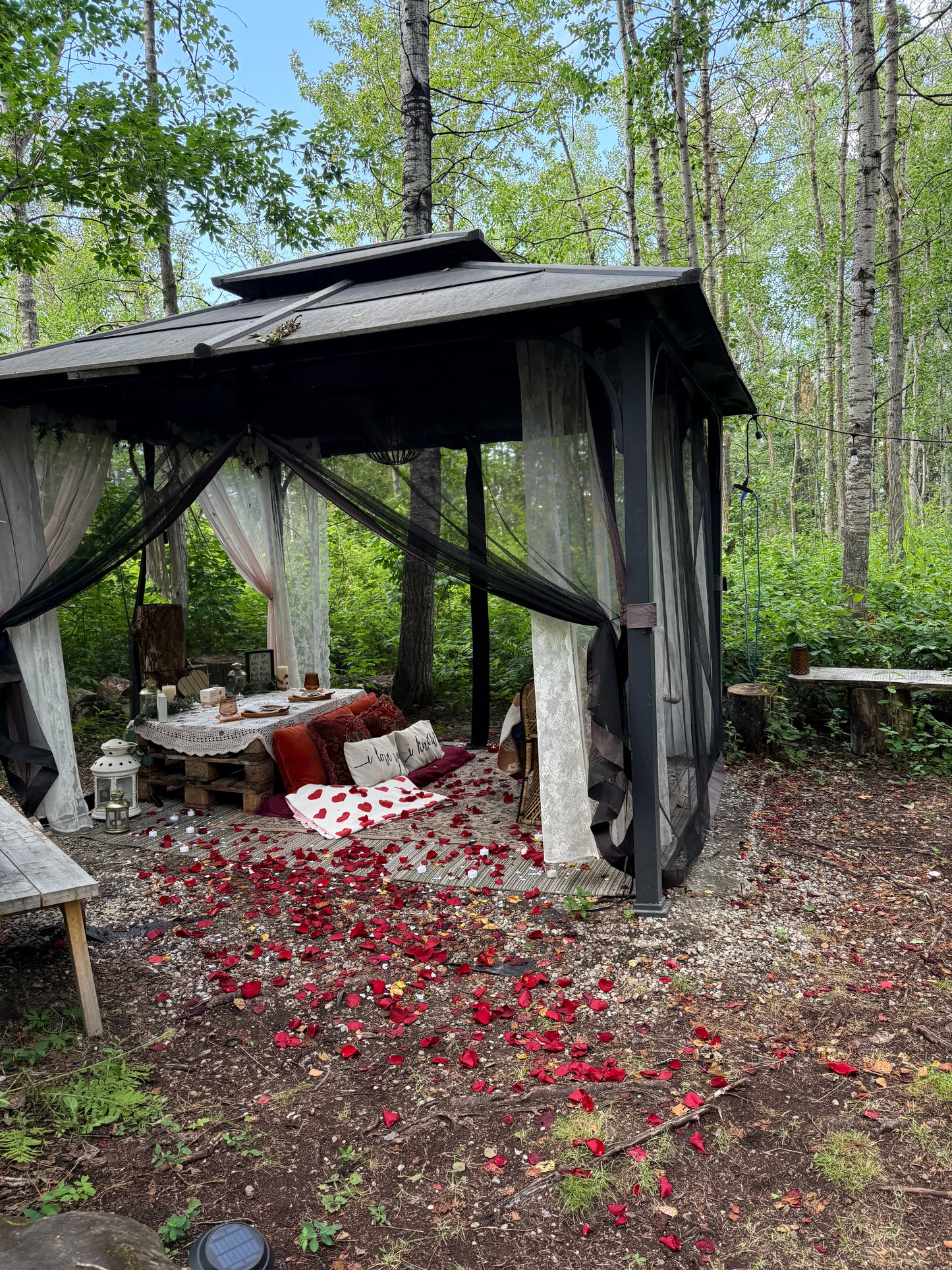 Romantic Picnic For Two
