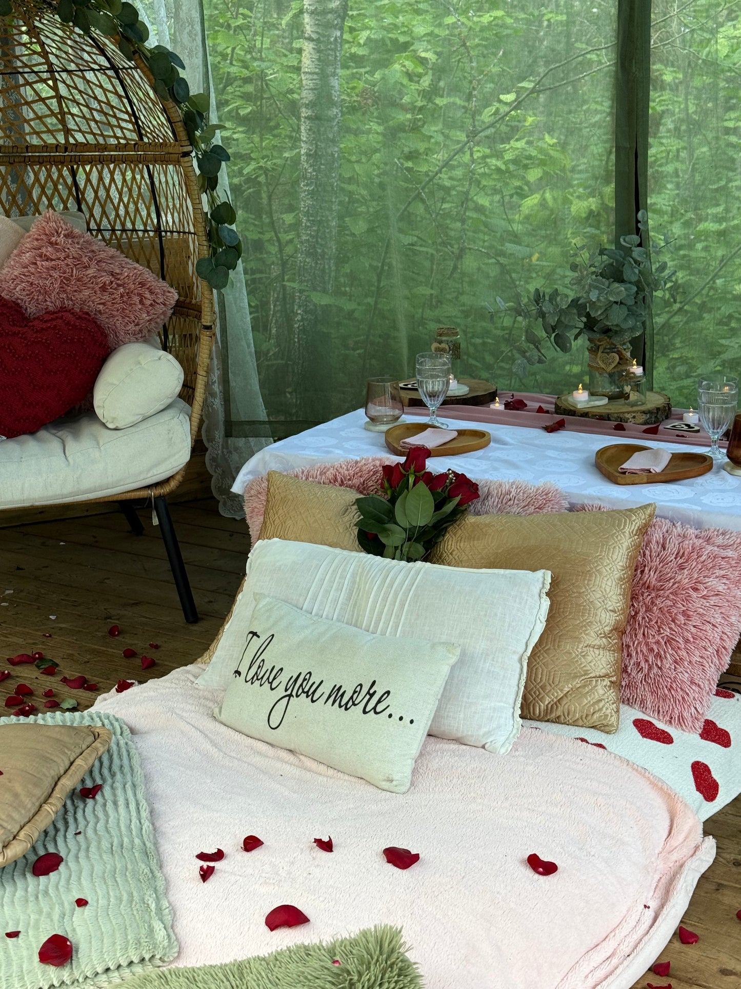 Romantic Picnic For Two