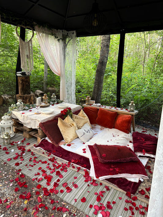 Romantic Picnic For Two