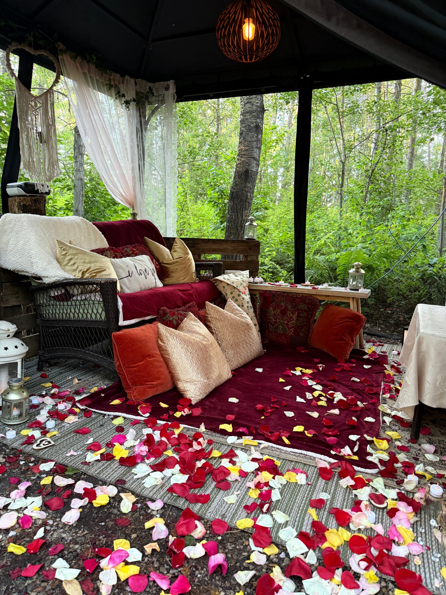 Romantic Picnic For Two