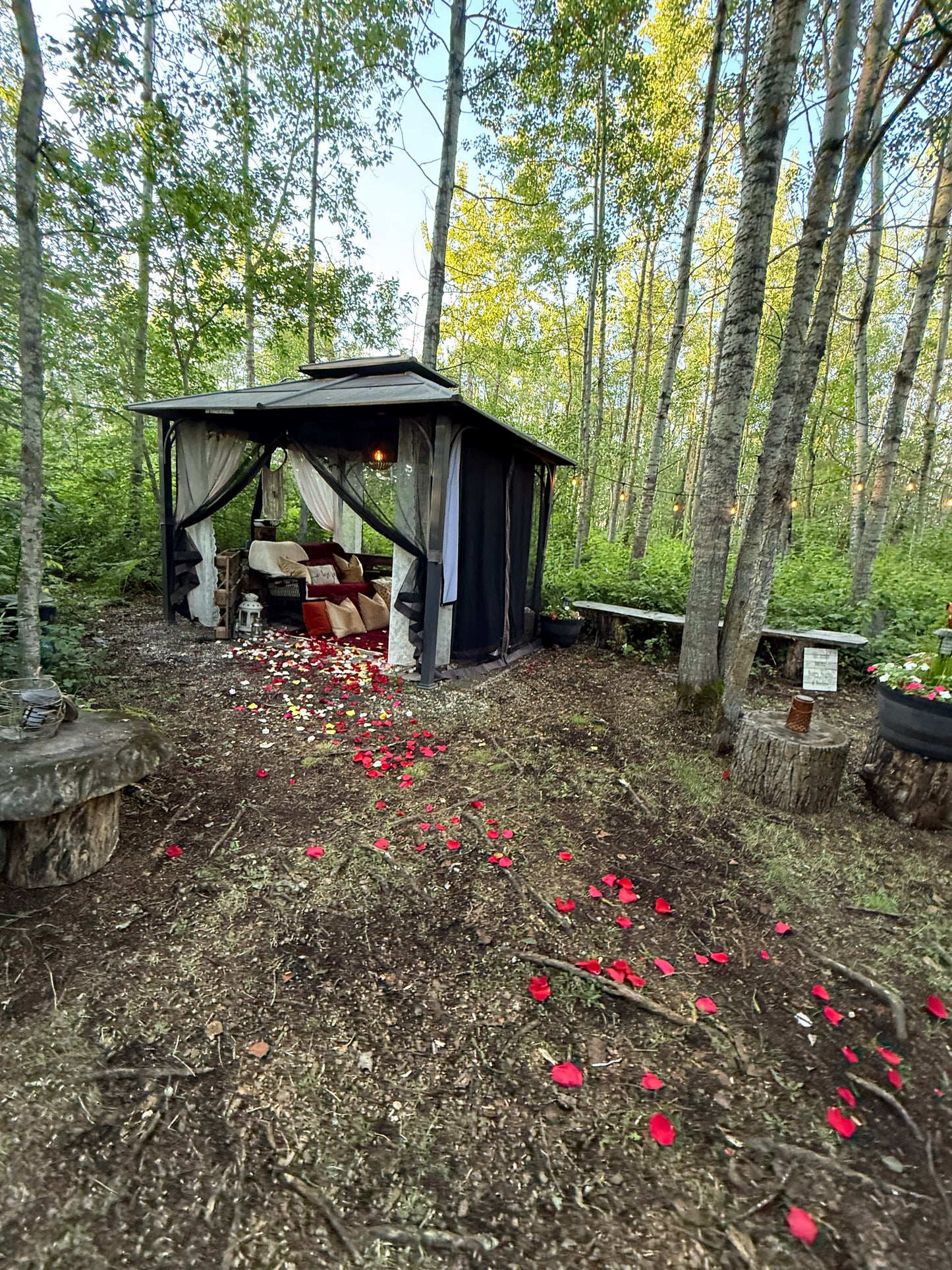 Romantic Picnic For Two