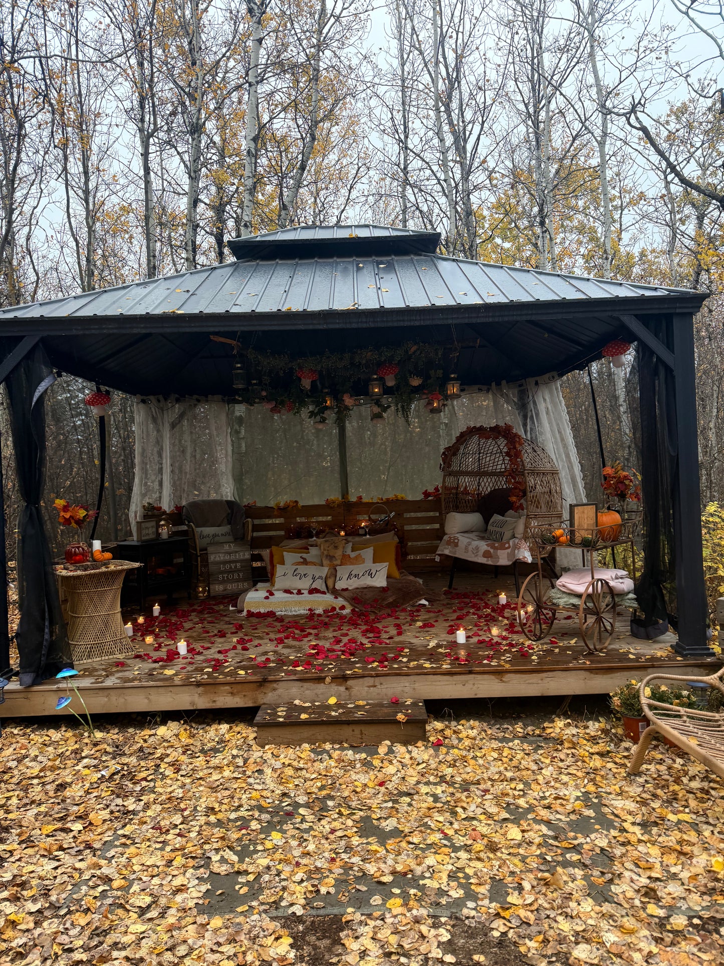 Fall Romantic Picnic