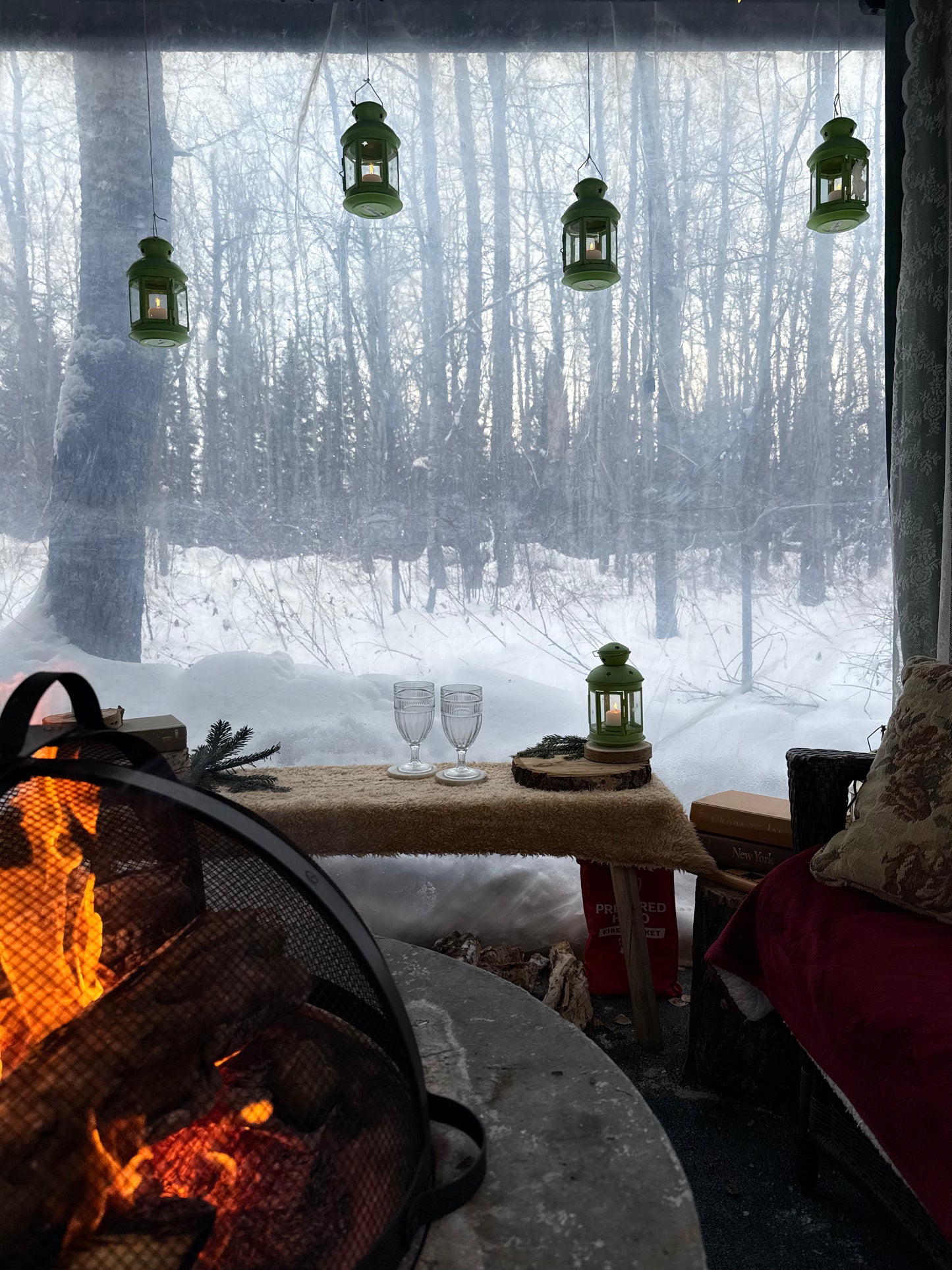 The Cozy Romantic Winter Picnic for 2
