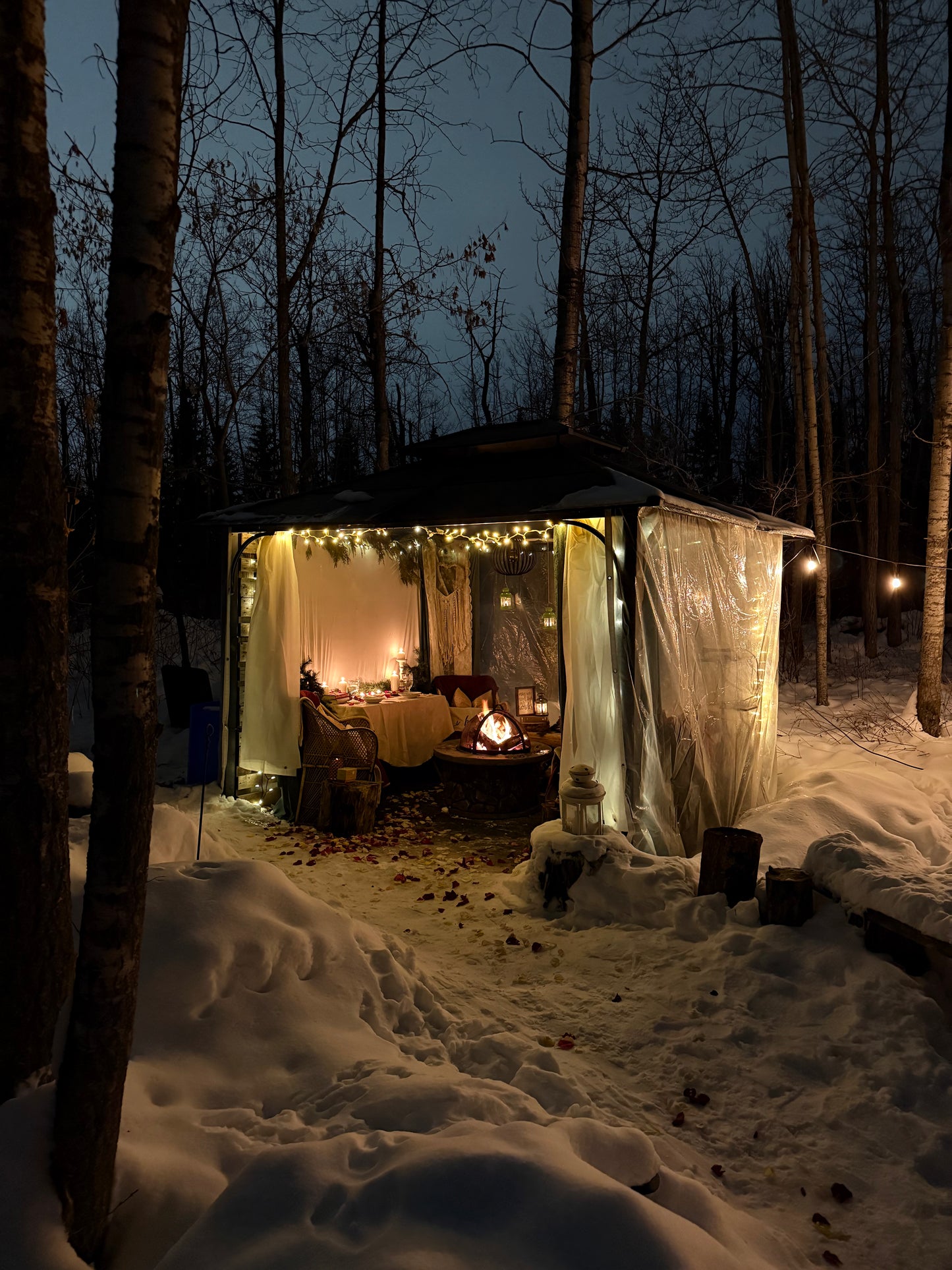 The Cozy Winter ROMANTIC MOVIE NIGHT Picnic for 2